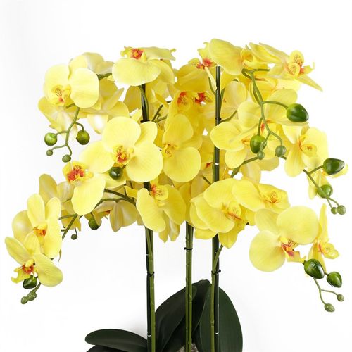 60cm Artificial Orchid in Black Ceramic Planter