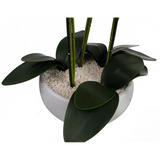 60cm Artificial Orchid – Black & White Ceramic Planter