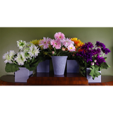 Artificial Potted Daisy Flowering Plant – Yellow