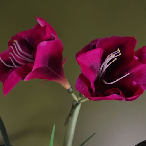 Artificial Amaryllis Flowering Plant – Pink