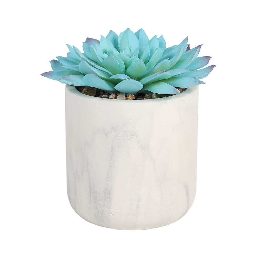 Artificial Blue Succulent in White Pot